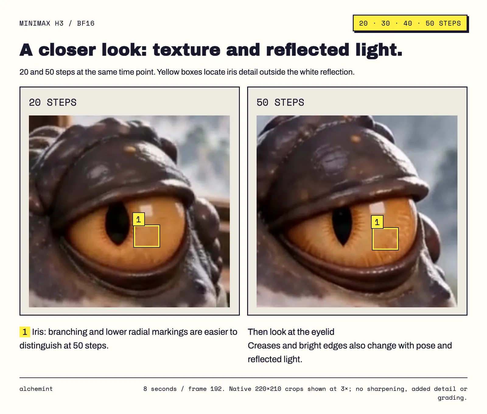 Enlarged 20- and 50-step toad eyes with yellow boxes locating iris texture outside the white reflection