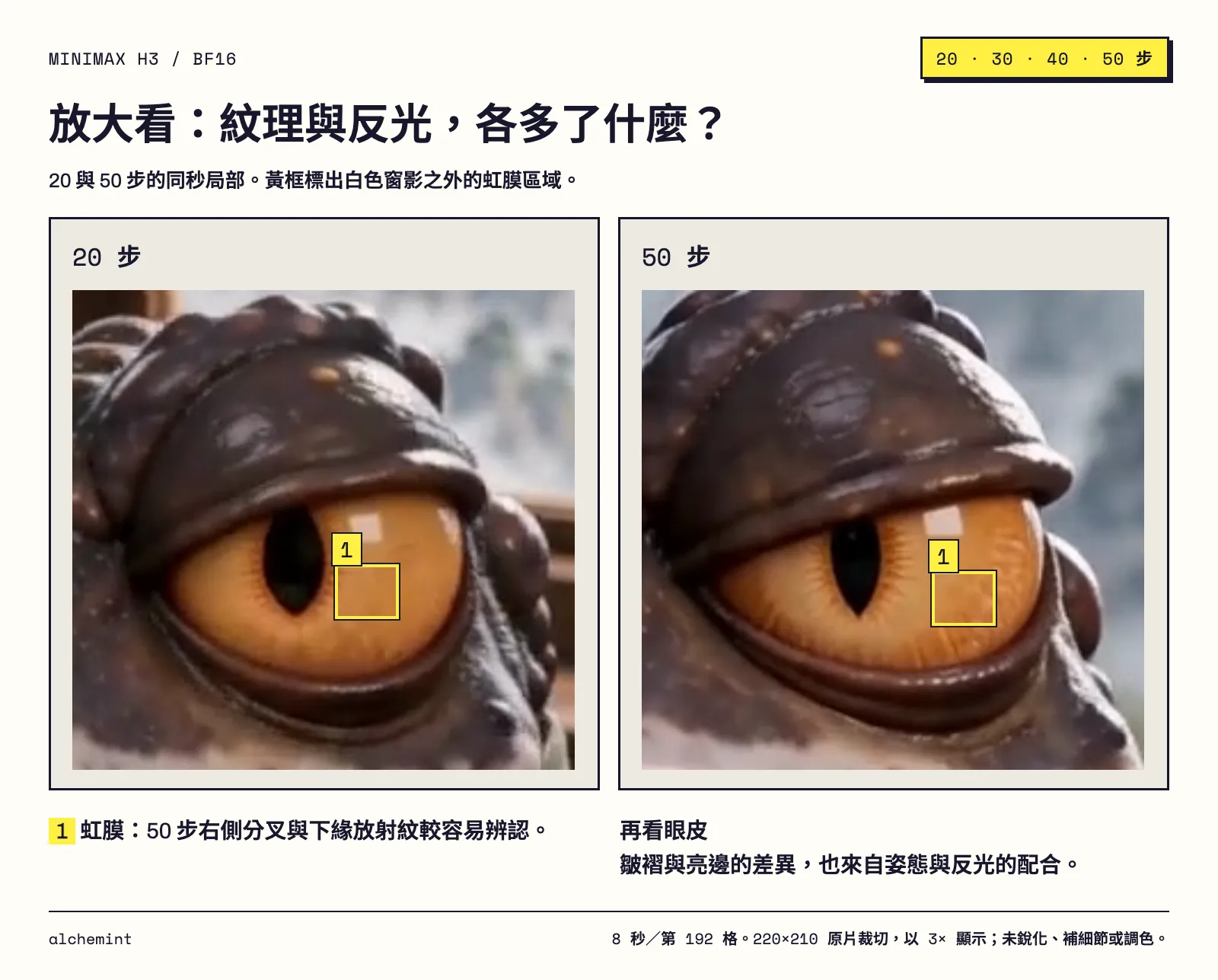 20 與 50 步蟾蜍眼部放大比較，黃框標出白色反光以外的虹膜紋理